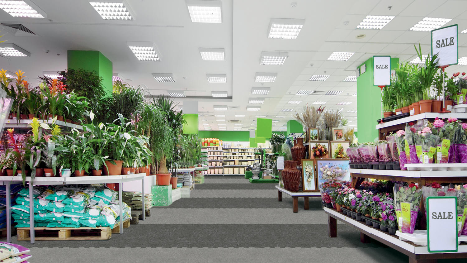 IN_iD_Tilt_24750000_24750002_001